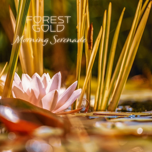 欧美小罗莉69式XXXⅩ
